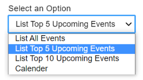 Display Option Menu