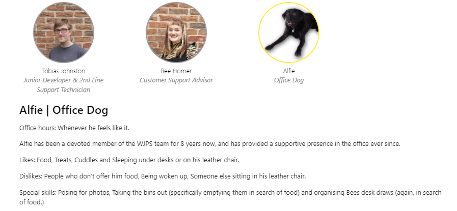 Profiles on a Page